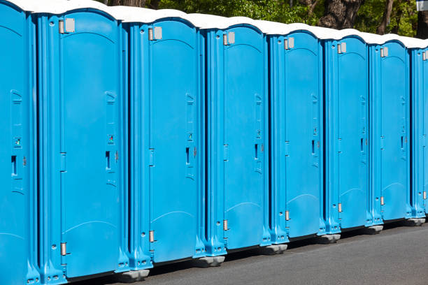 Best Portable Restroom Maintenance and Cleaning in Ellisville, MO